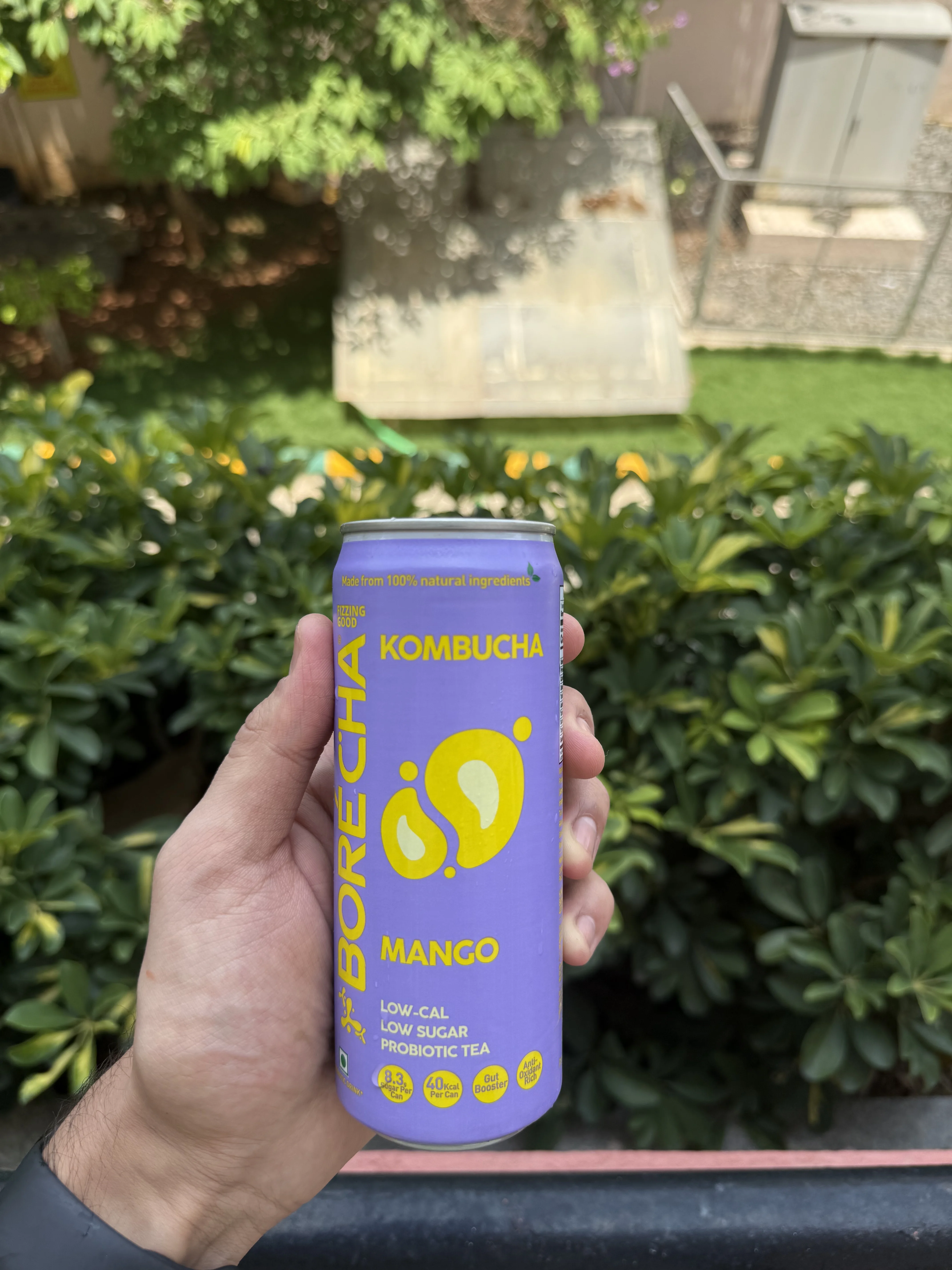Kambucha bottle 2