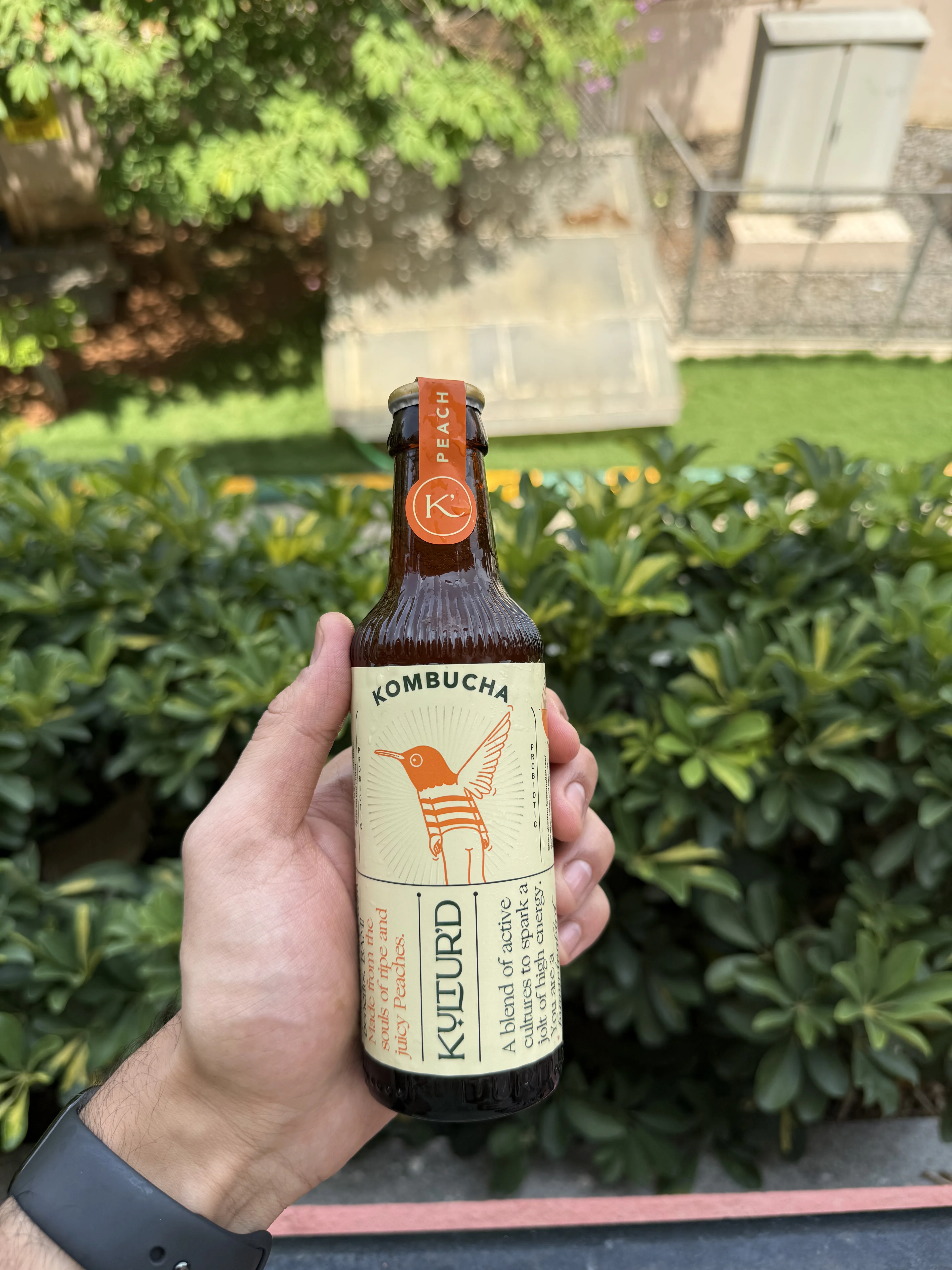 Kambucha bottle 3