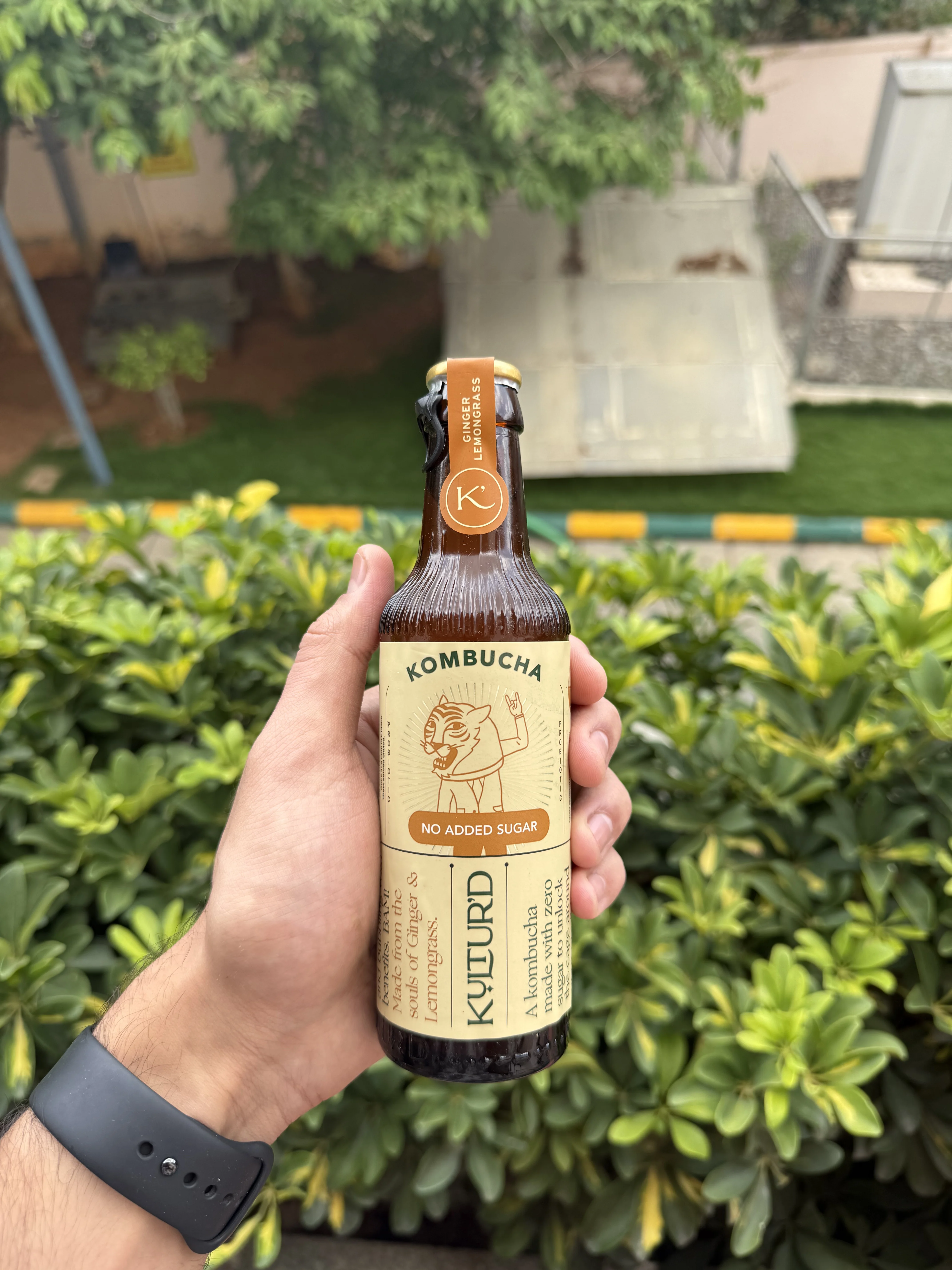 Kambucha bottle 4