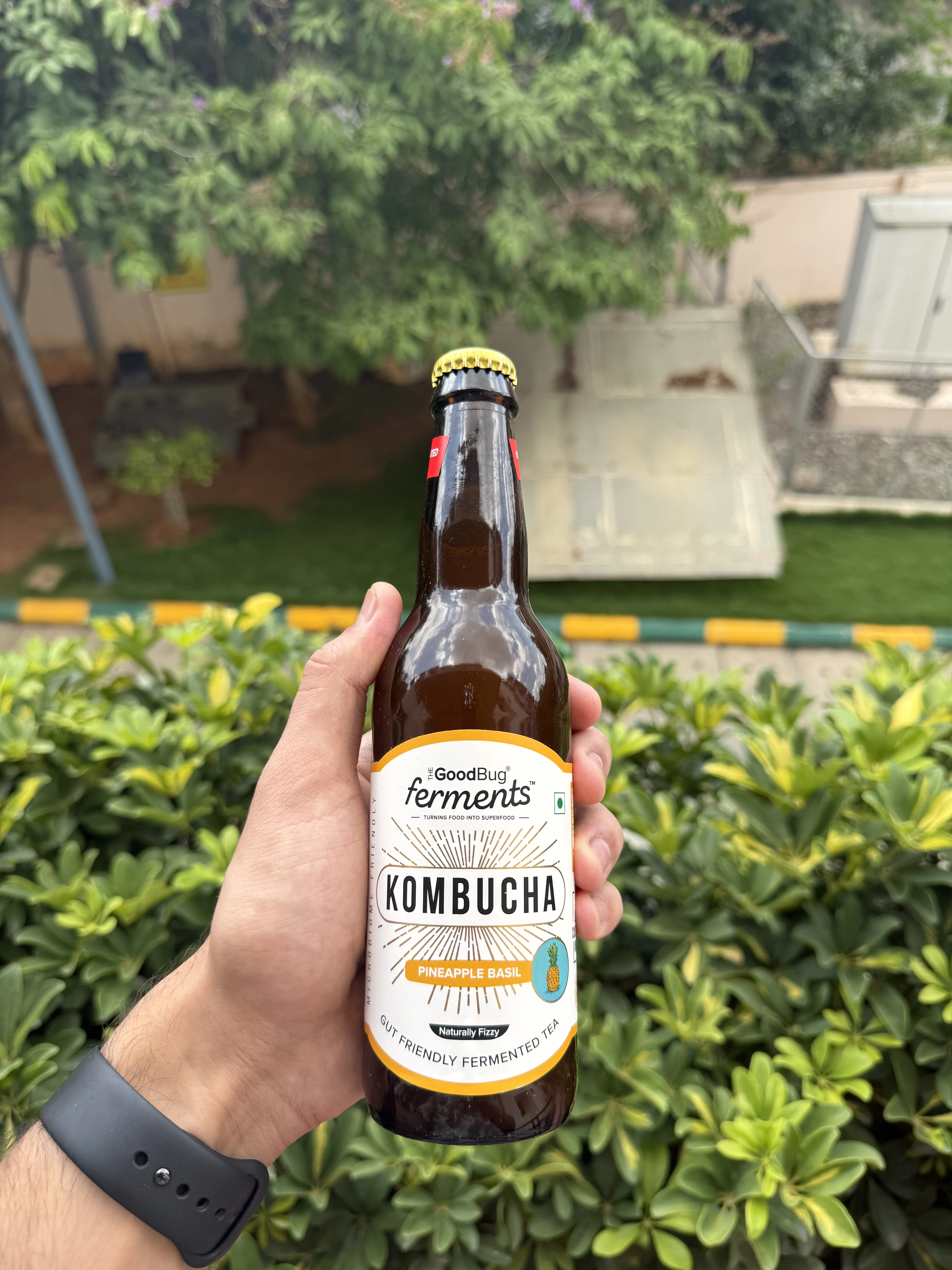 Kambucha bottle 5