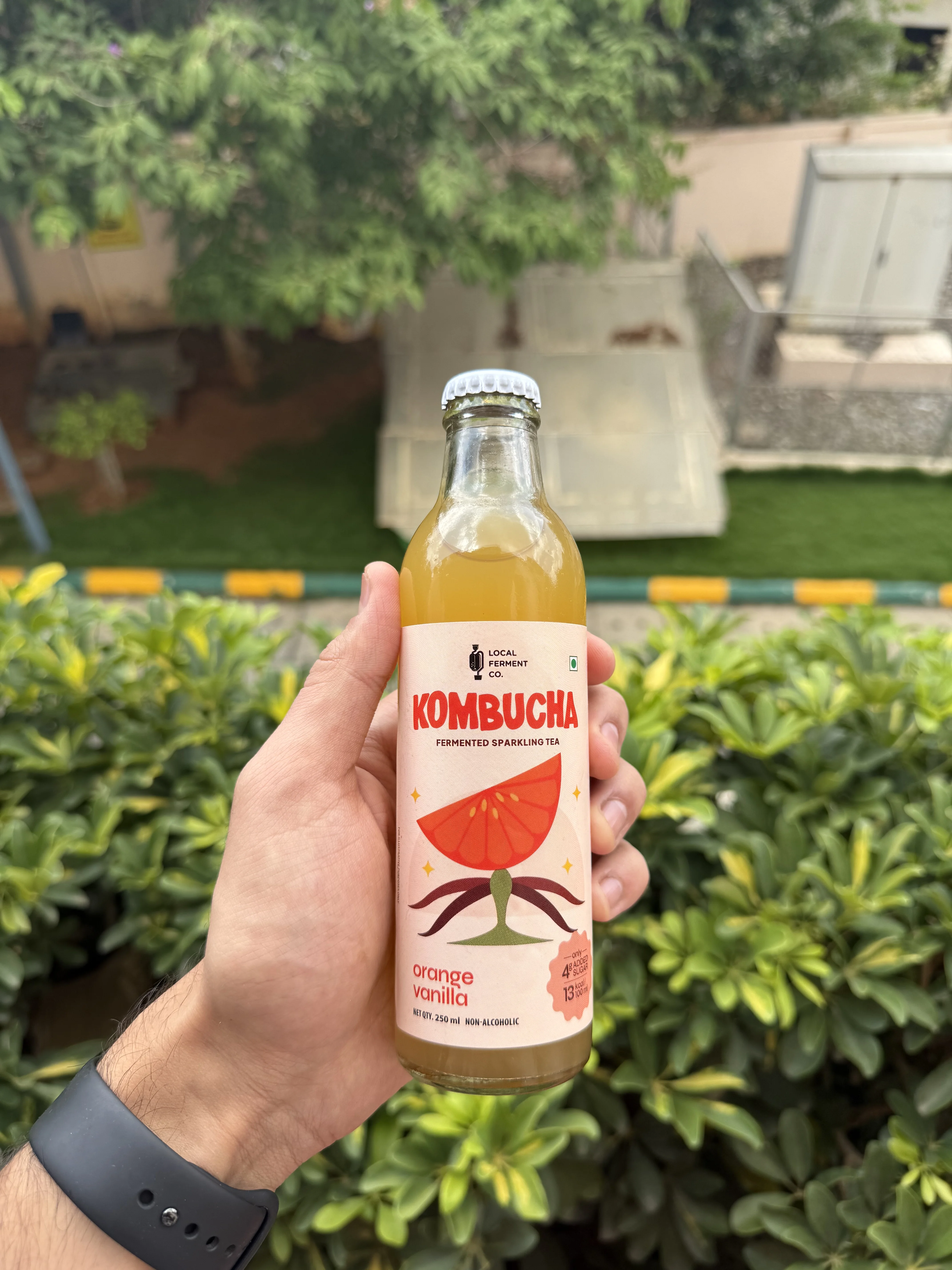 Kambucha bottle 6