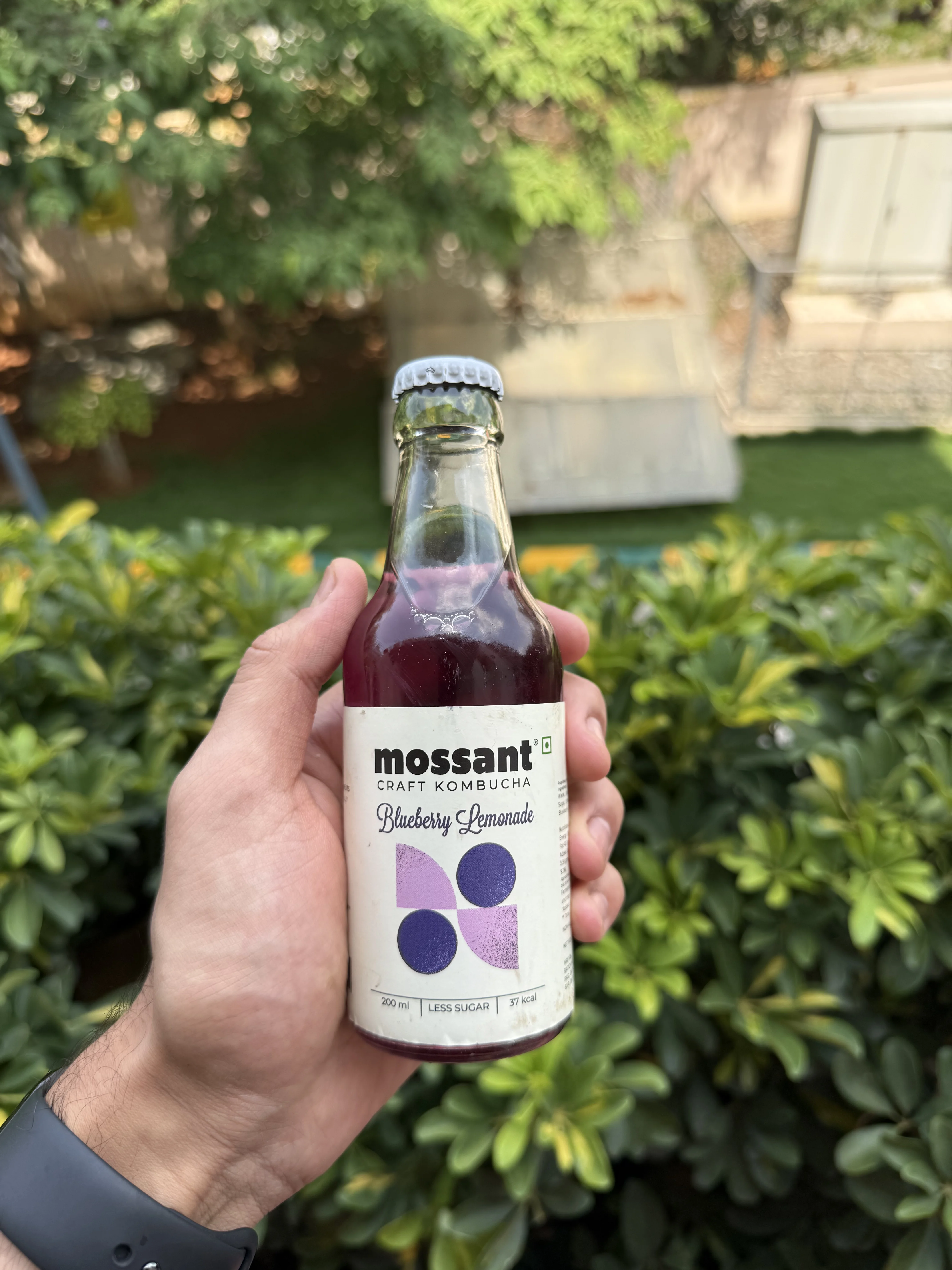 Kambucha bottle 7