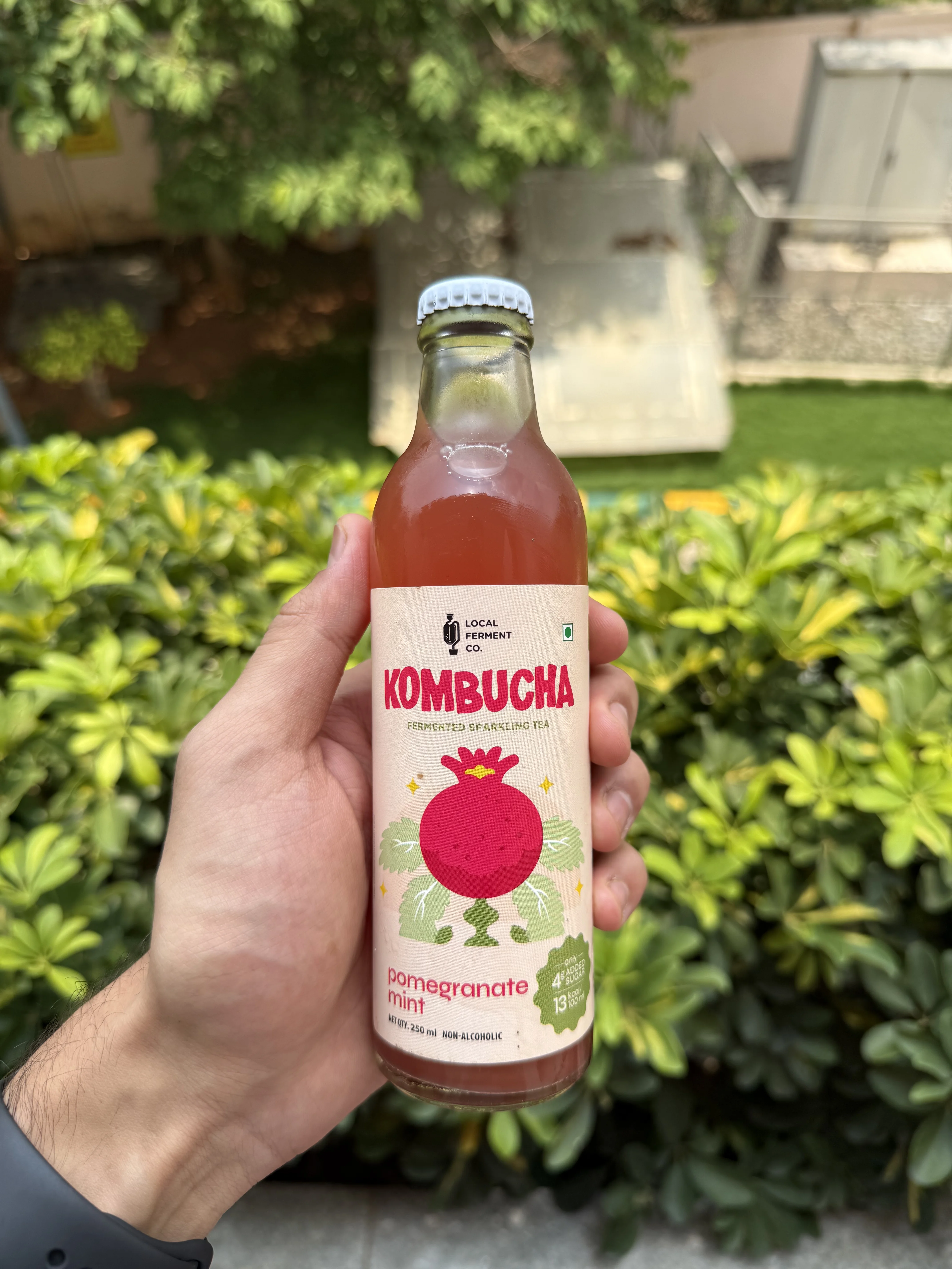 Kambucha bottle 8