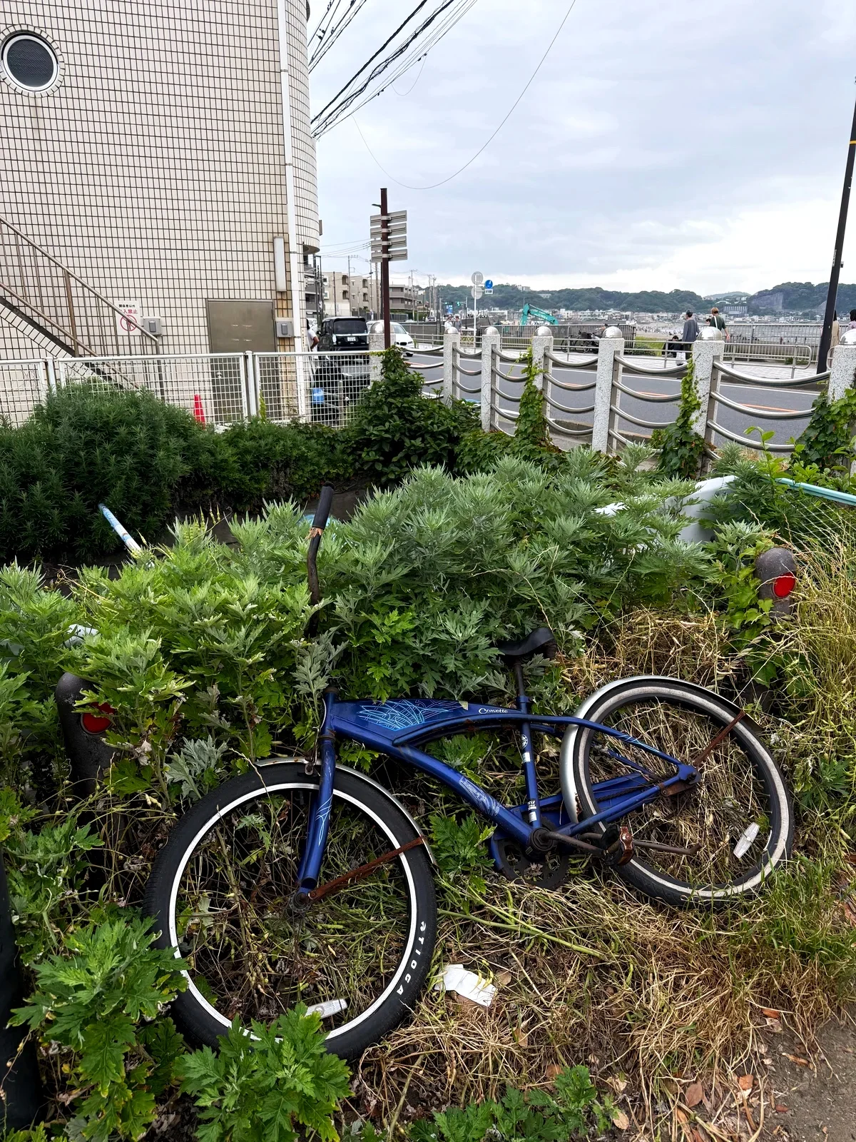 A fallen bicycle